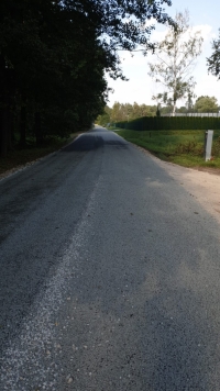 bilde Lediņu ceļš