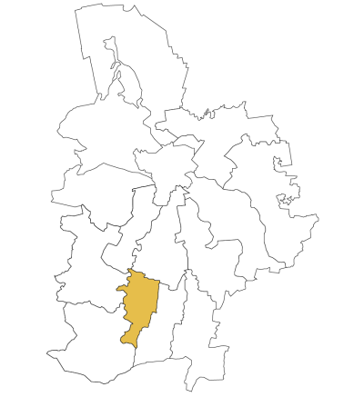 Lielplatones pagasts