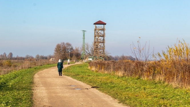 pļava