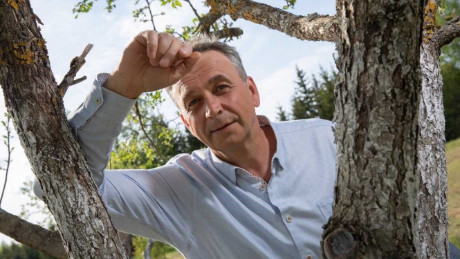 Līvbērze_Baltacis