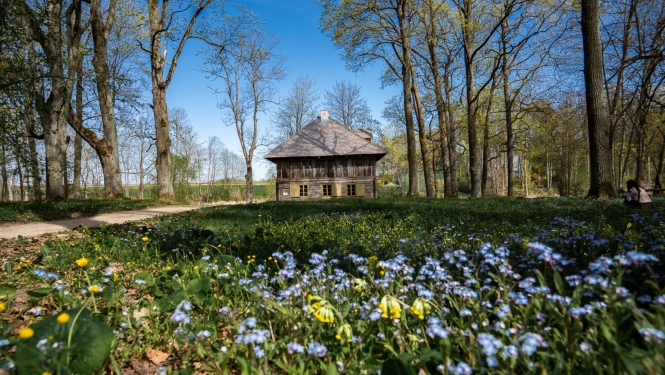 Vezuzis