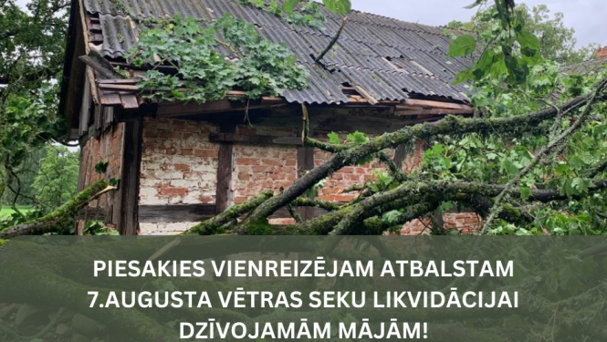 bilde