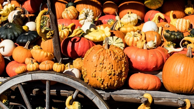 Ozolnieki_mājr_tirdz