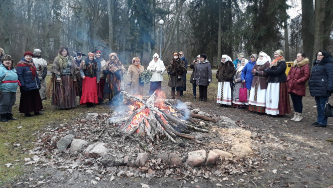 Ziemas saulgrieži Elejas muižas parkā