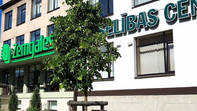 Zemgales veselības centrs