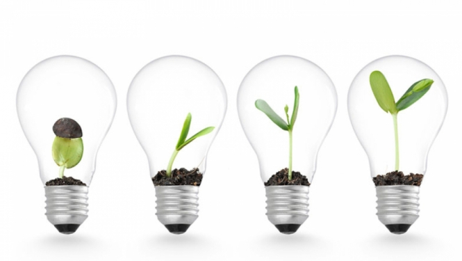 Spuldzītes ar augiem