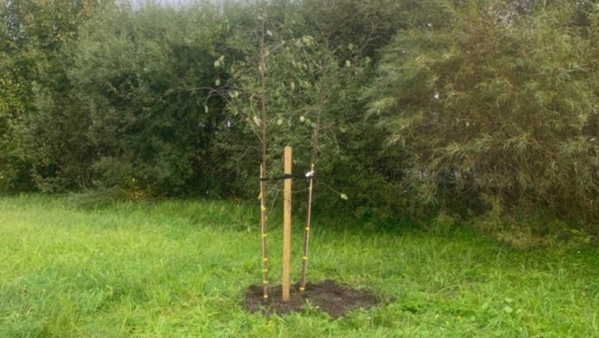 Meža dienas 2022 Jelgavas novadā