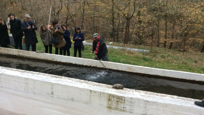 Alternatīvas saimniekošanas metodes ekonomiskās krīzes pārvarēšanai Grieķijā