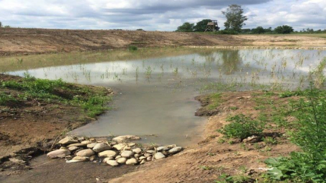 Vētīs meliorācijas ietekmi uz Baltijas jūras piesārņojuma mazināšanu