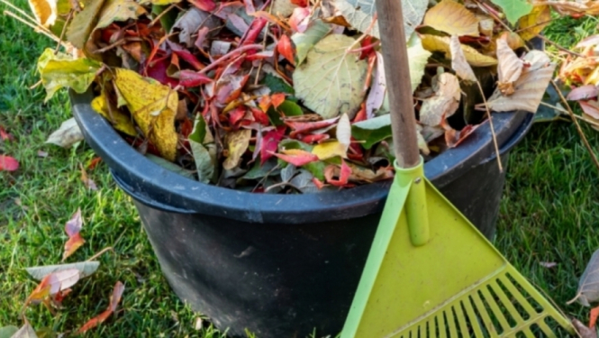 Jelgavas novadā ir izveidoti trīs zaļo dārza atkritumu savākšanas laukumi