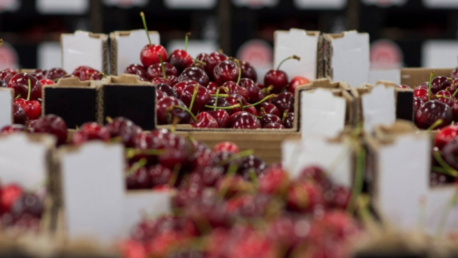 AGRI-URBAN projekta partneru tikšanās Portugālē – veiksmīgs pašvaldības marketings