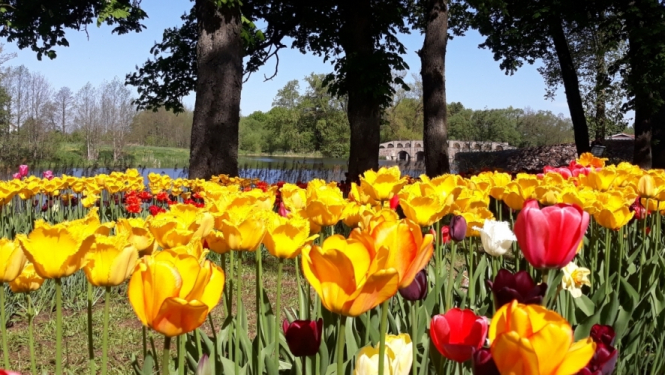 Atziņas un pieredze Kūfalta plānoto parku ekspedīcijas braucienā Lietuvā un Kurzemē