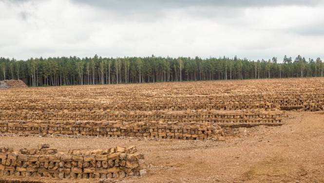 Novada svētkos būs apskatāmas kūdras skulptūras
