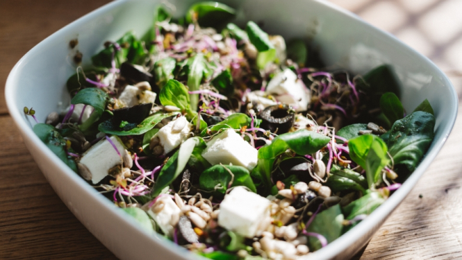 Praktisko nodarbību cikls "Četri gadalaiki"