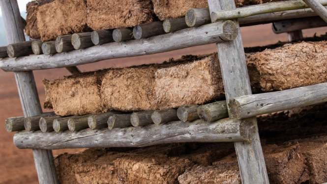 Aicina pieteikties māksliniekus kūdras skulptūru izgatavošanai