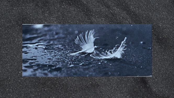 Zēbergs_Attiecības