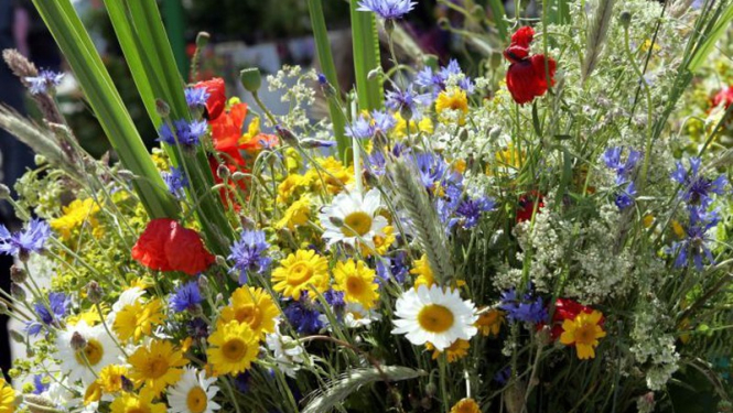 Ozolnieki_tirdziņš