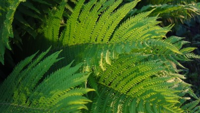 Valgunde_ielīgošana