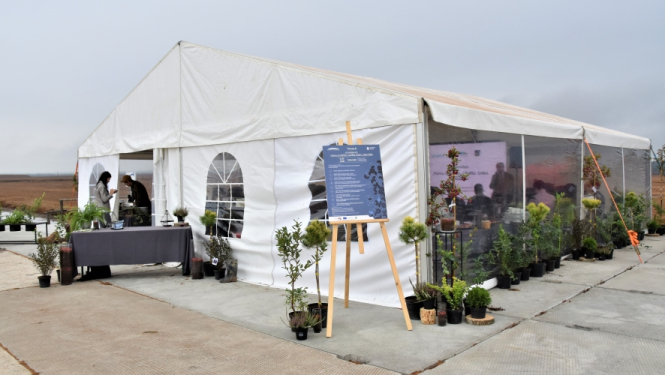 Notikusi konference „Purvu ilgtspēja. Cilvēks. Daba. Labklājība.”