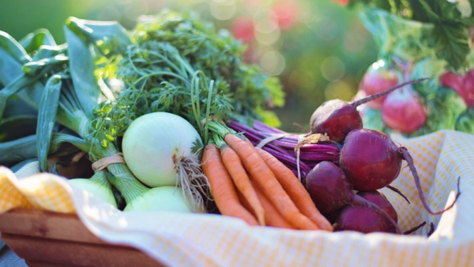 Aicina uz bezmaksas veselīga uztura cikla “Četri gadalaiki” noslēdzošo nodarbību "Vasara"