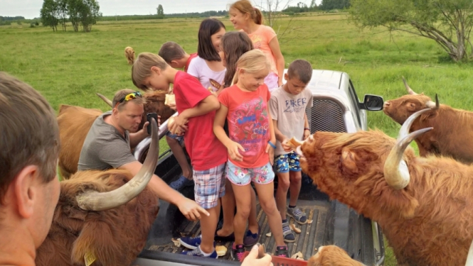 Integrējošas nometnes bērniem, kas aug ģimenēs un aprūpes iestādēs