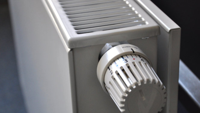 dabasgazes-tirgus-atversana