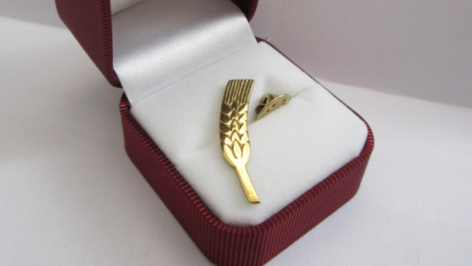 Vārpiņa - augstākais pašvaldības apbalvojums