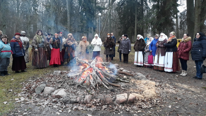 Ziemas saulgrieži Elejas muižas parkā