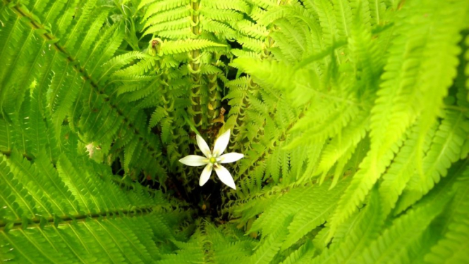 Valgunde_ielīgošana