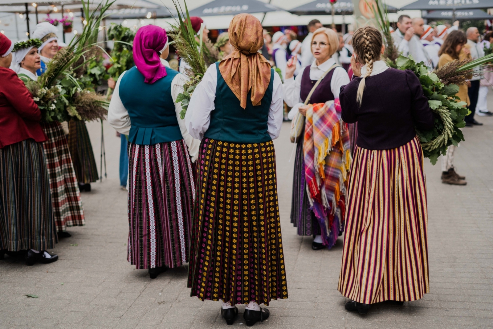 Jelgavas novadu Dziesmu un deju svētki