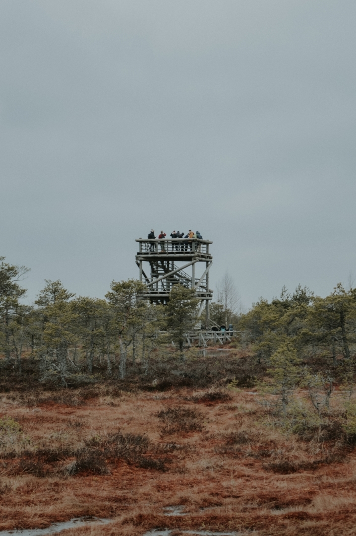 Aizupes pamatskola uzņem projekts