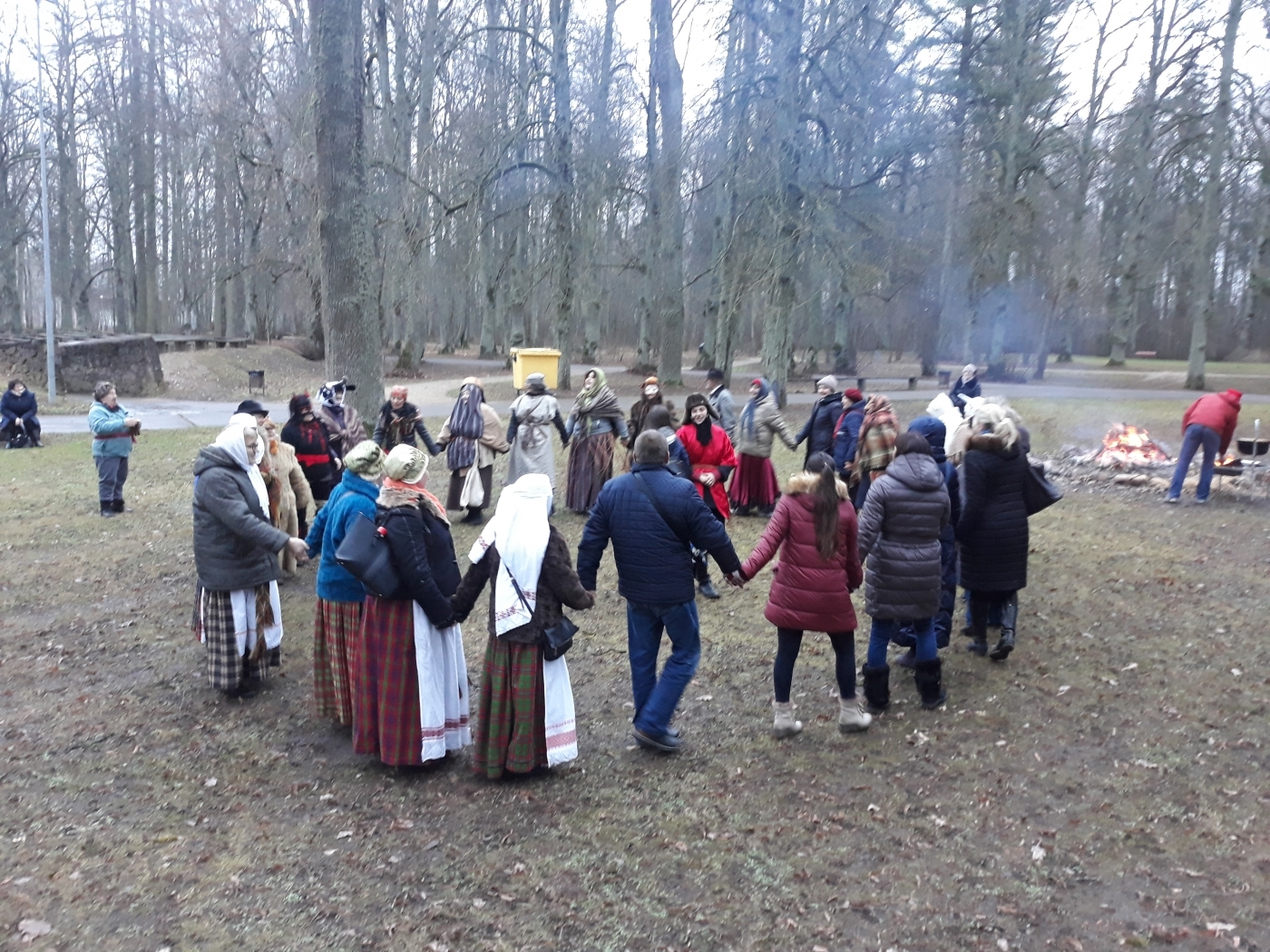 Ziemas saulgrieži Elejas muižas parkā