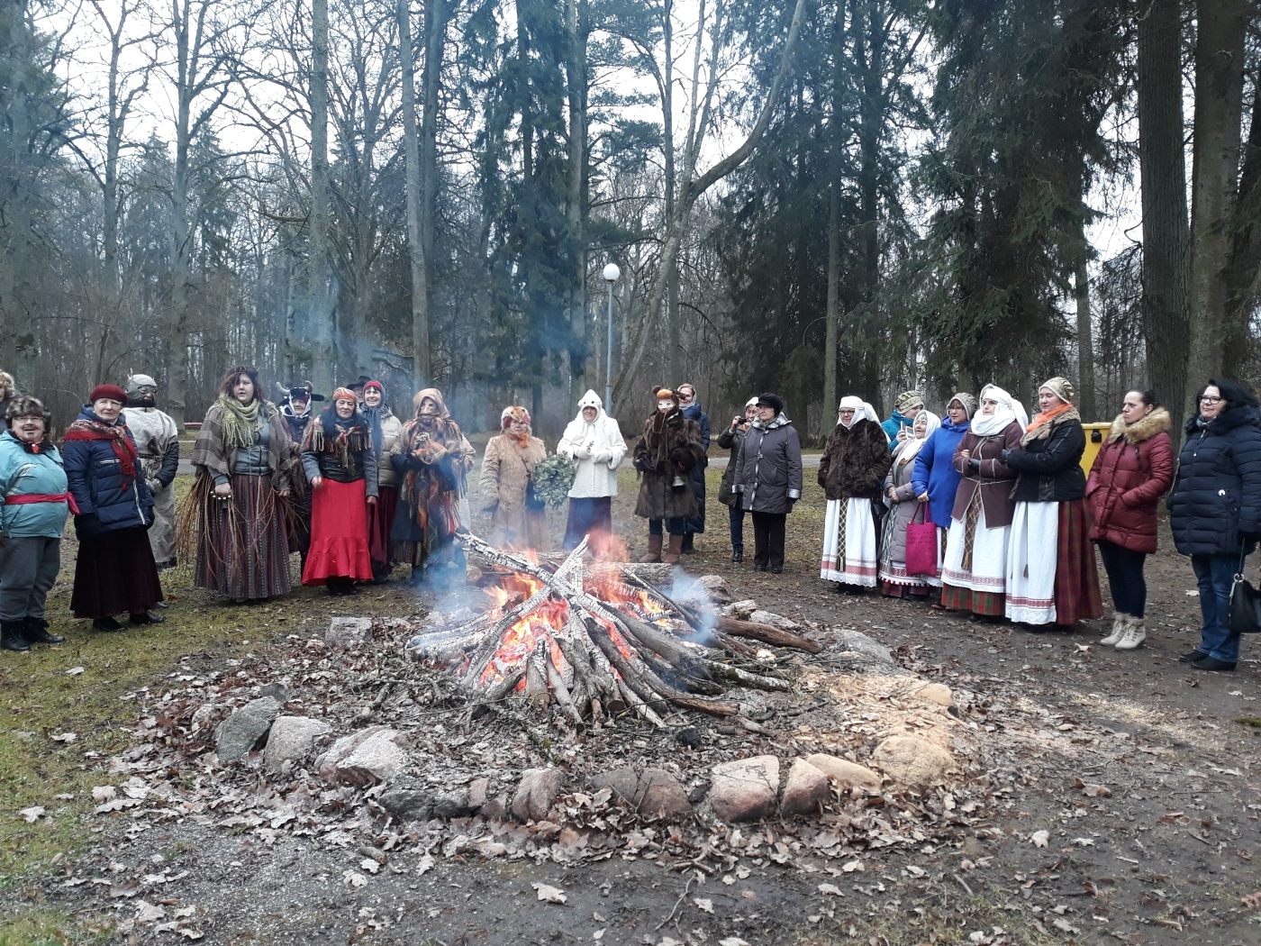 Ziemas saulgrieži Elejas muižas parkā