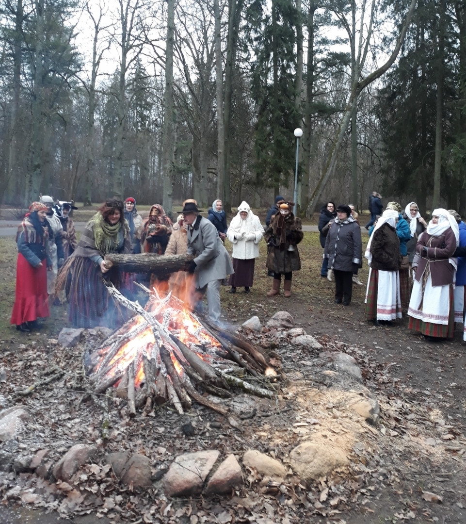 Ziemas saulgrieži Elejas muižas parkā