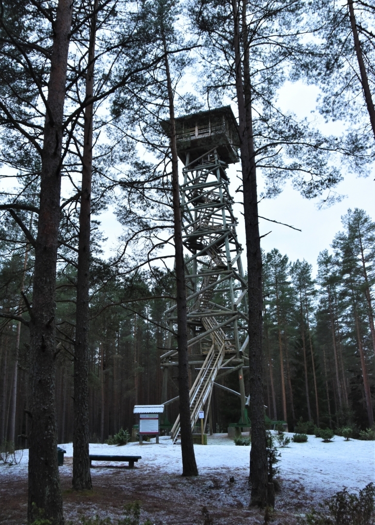 Ziemassvētku kauju atcere