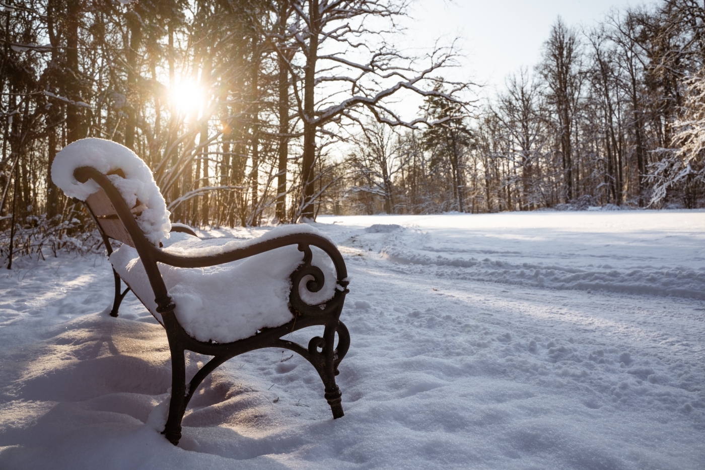 Ziemīgās Jelgavas novada ainavas