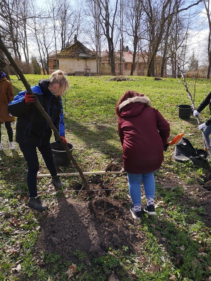 Zemes dienā jaunatnes darbinieki un jaunieši stāda kokus