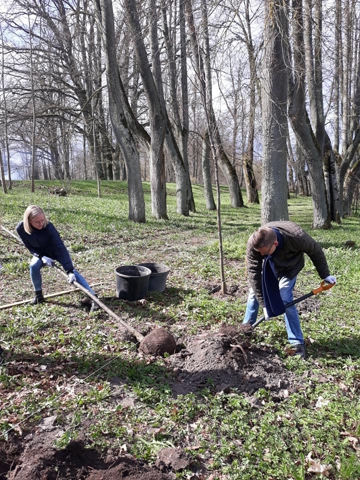 Zemes dienā jaunatnes darbinieki un jaunieši stāda kokus