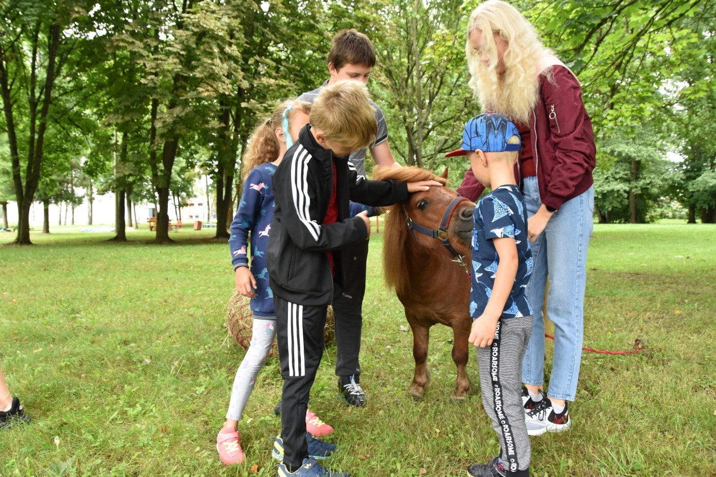 Ikgadējais audžuģimeņu un aizbildņu salidojums