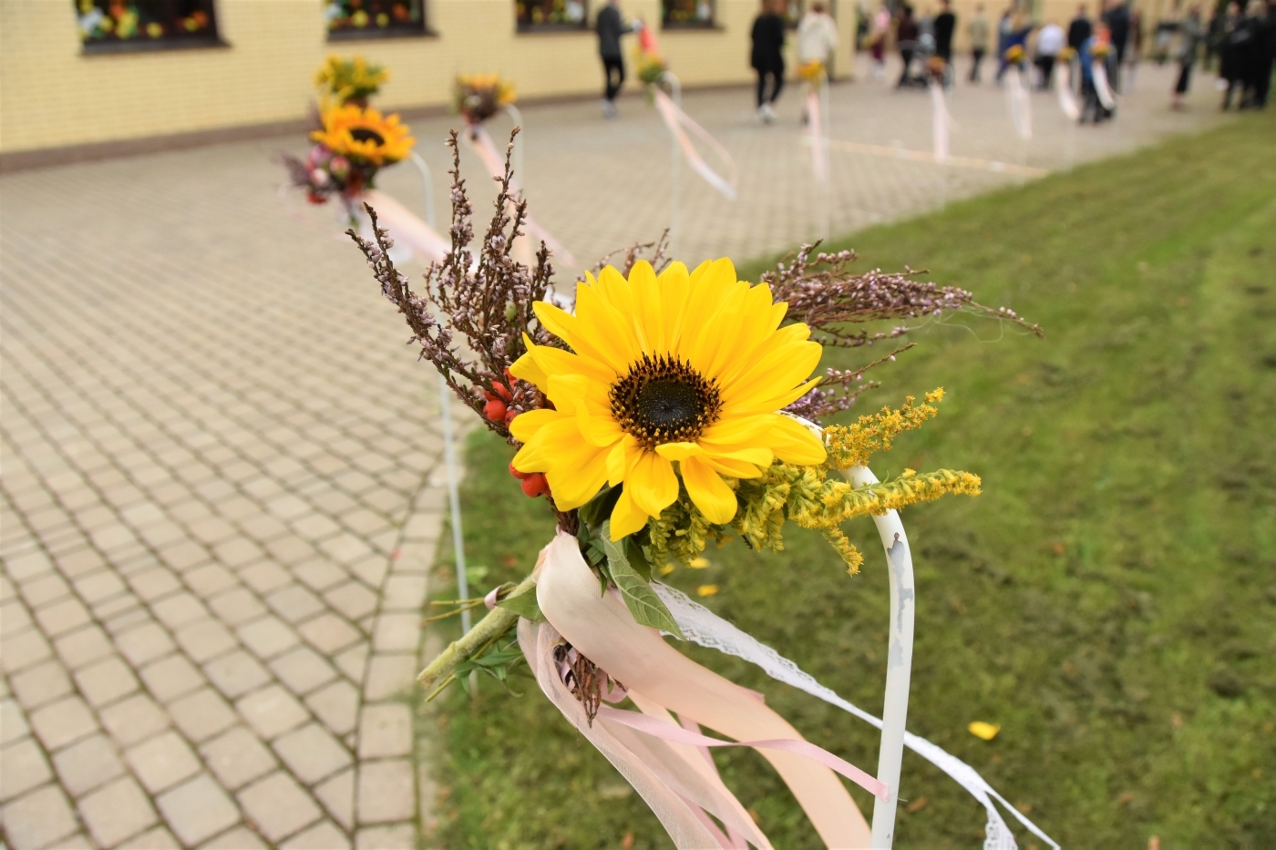 Jelgavas novada izglītības iestādēs, kas kopumā jaunizveidotajā novadā ir 29, šodien skolēni atzīmēja 1. septembri.   Lai visiem izdevies, veselīgs un veiksmes piepildīts mācību gads!