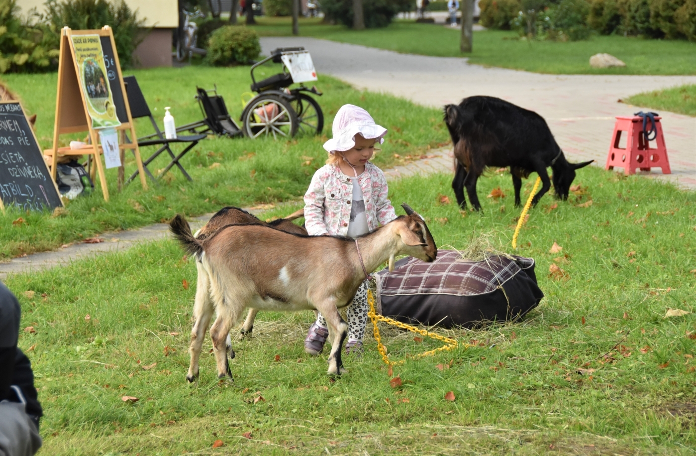 Ražas svētku tirdziņš Ozolniekos