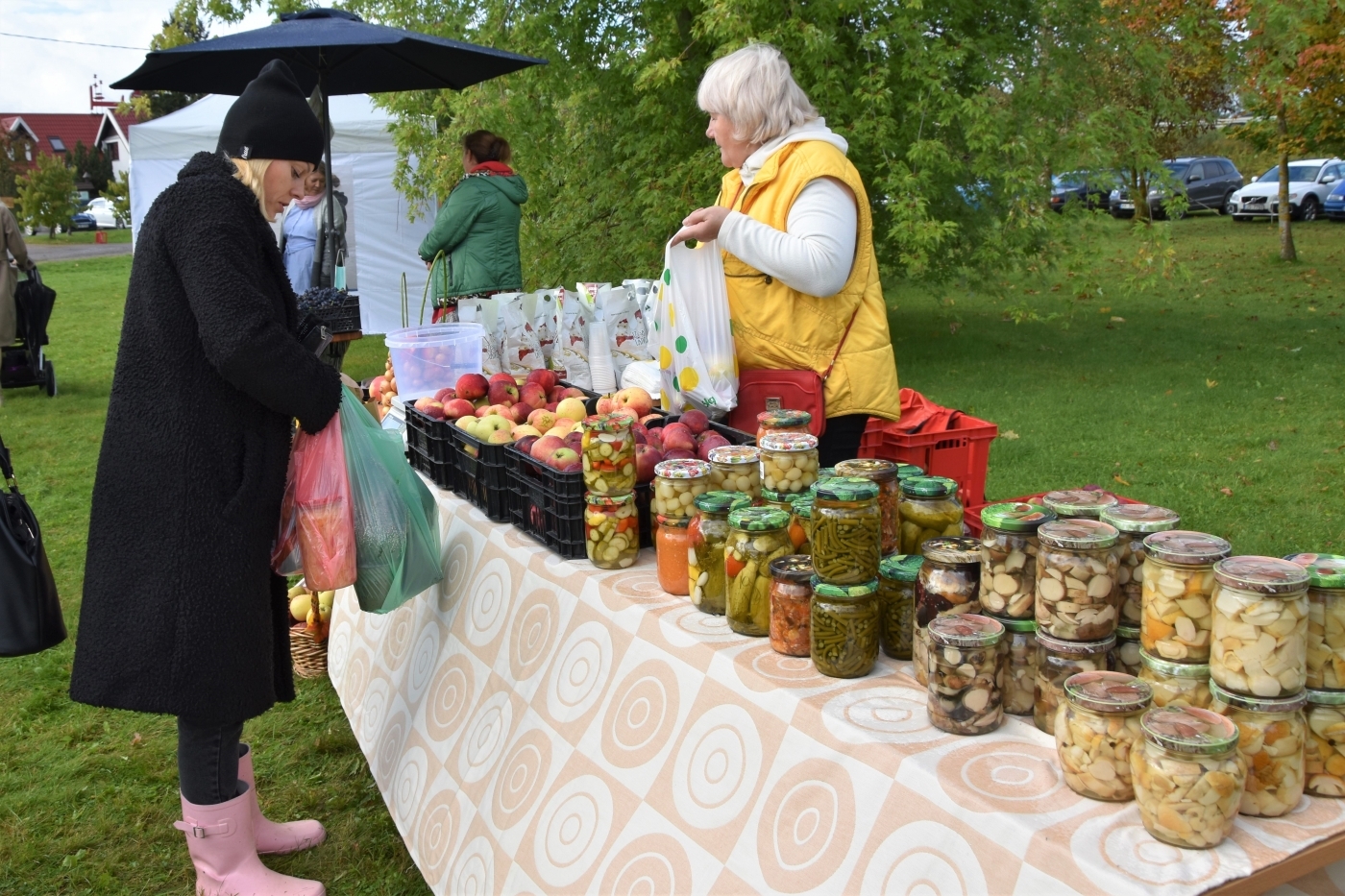 Ražas svētku tirdziņš pie restorāna "Zemnieka cienasts"