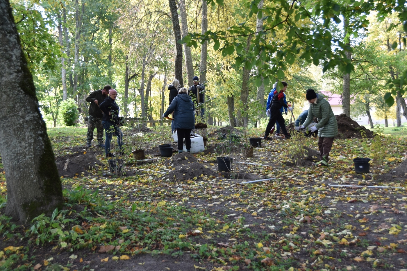 “Meža dienas 2021” Jelgavas novada Staļģenes muižas parkā