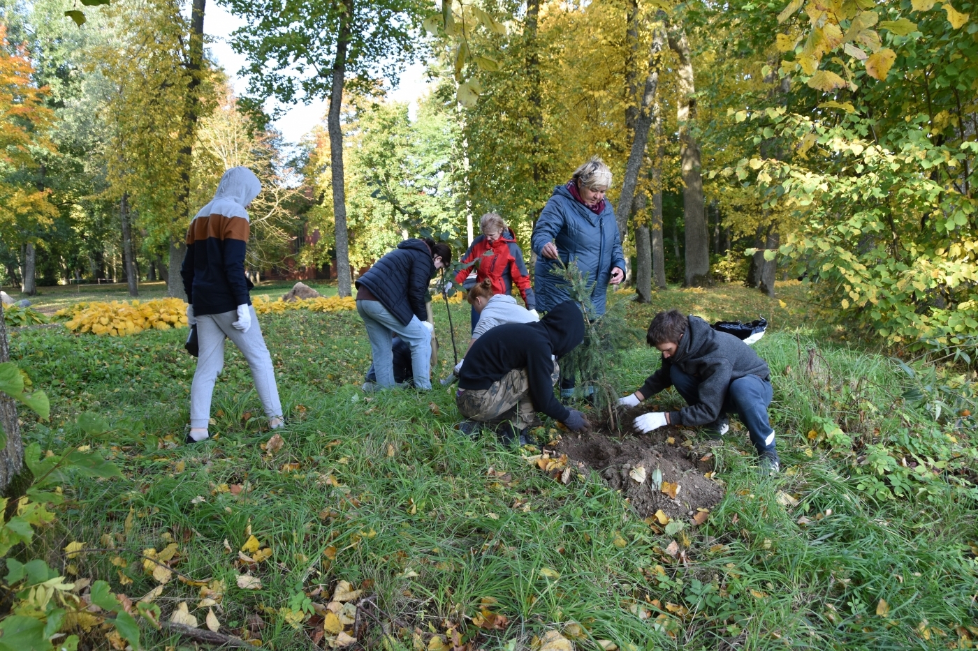 “Meža dienas 2021” Jelgavas novada Staļģenes muižas parkā