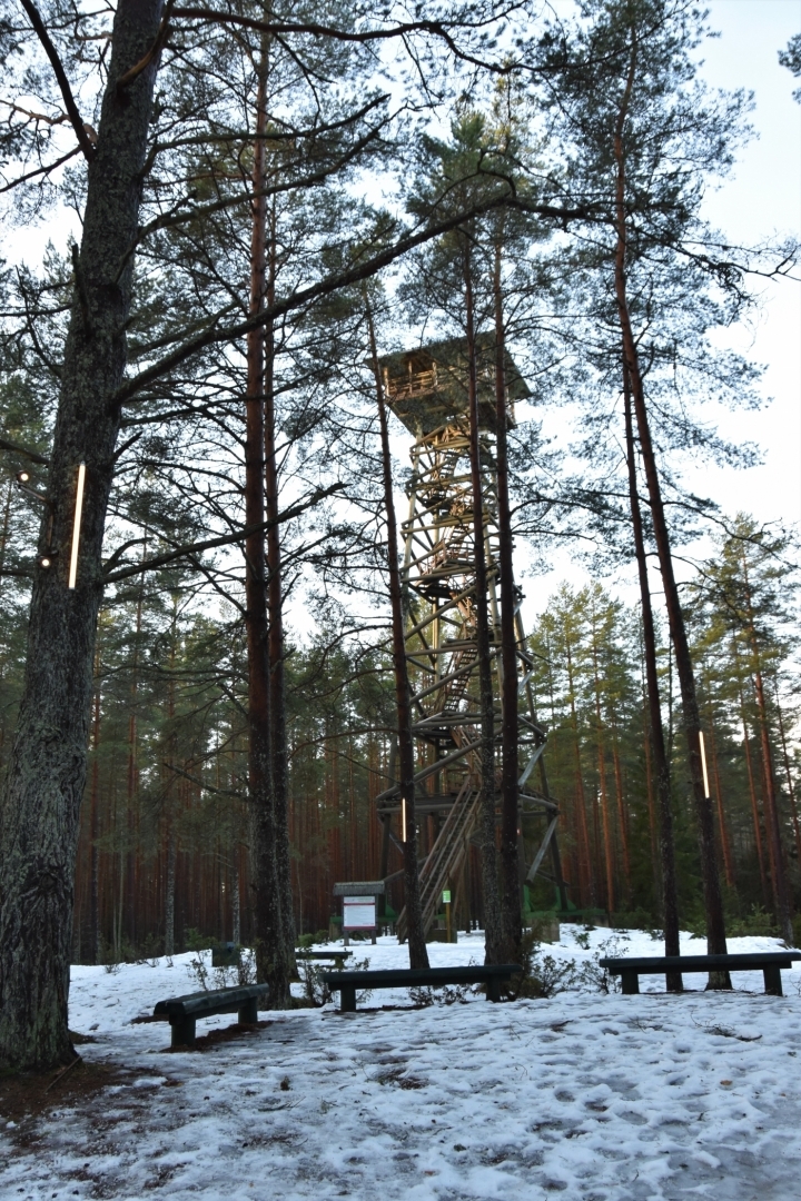 Ziemassvētku kauju atcere