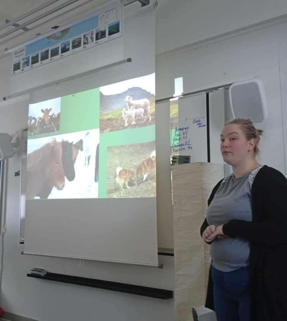 Aizupes pamatskolas izglītojamie piedalās starptautiskā mācību nedēļā Islandē