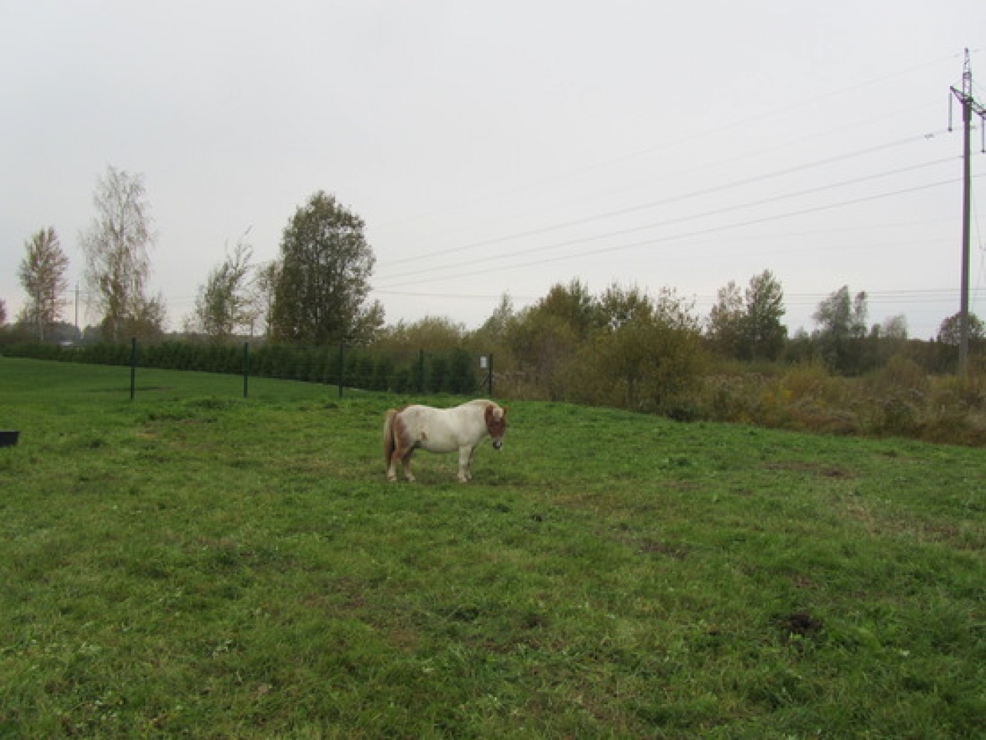 attels2
