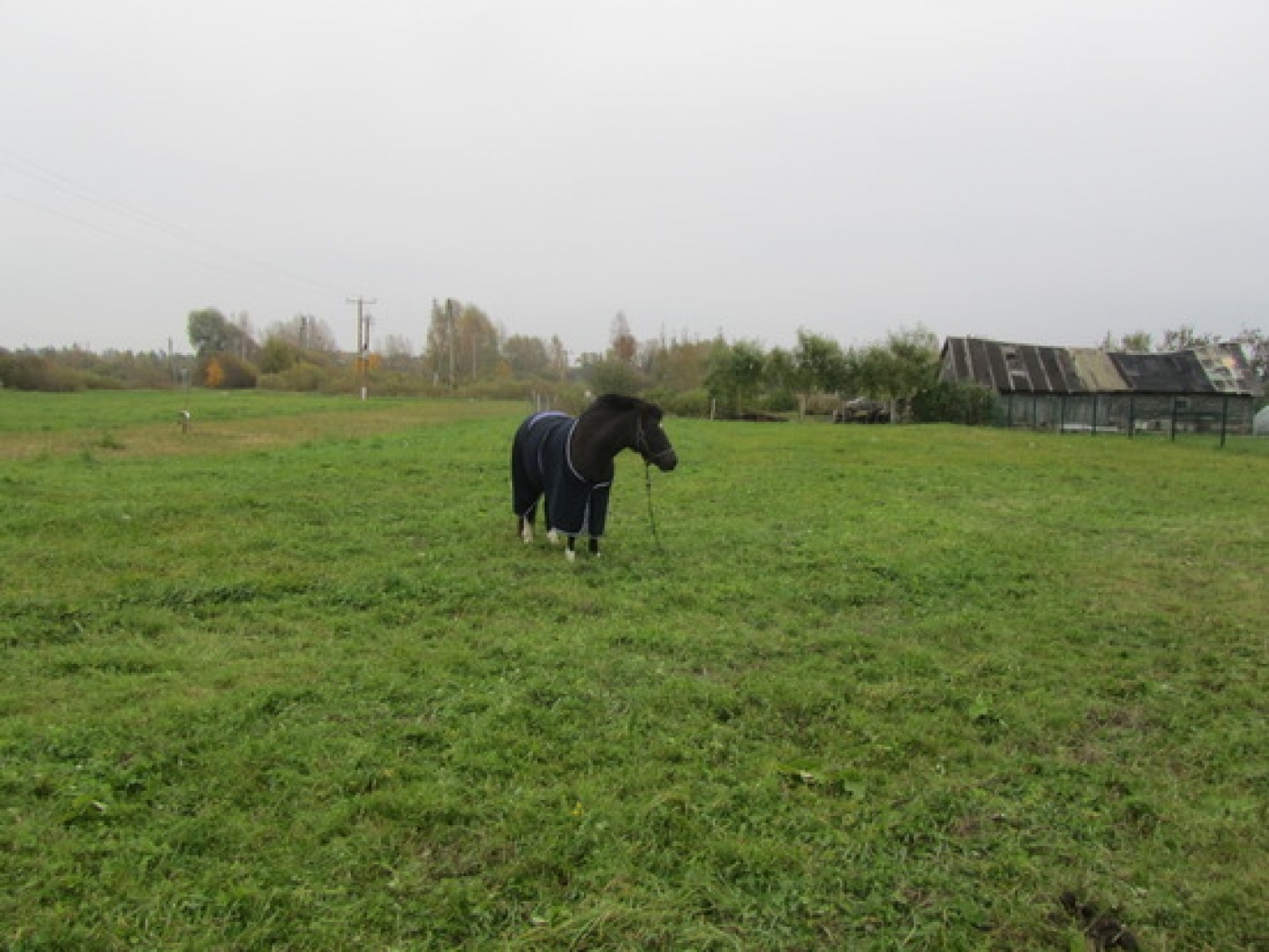 attels2