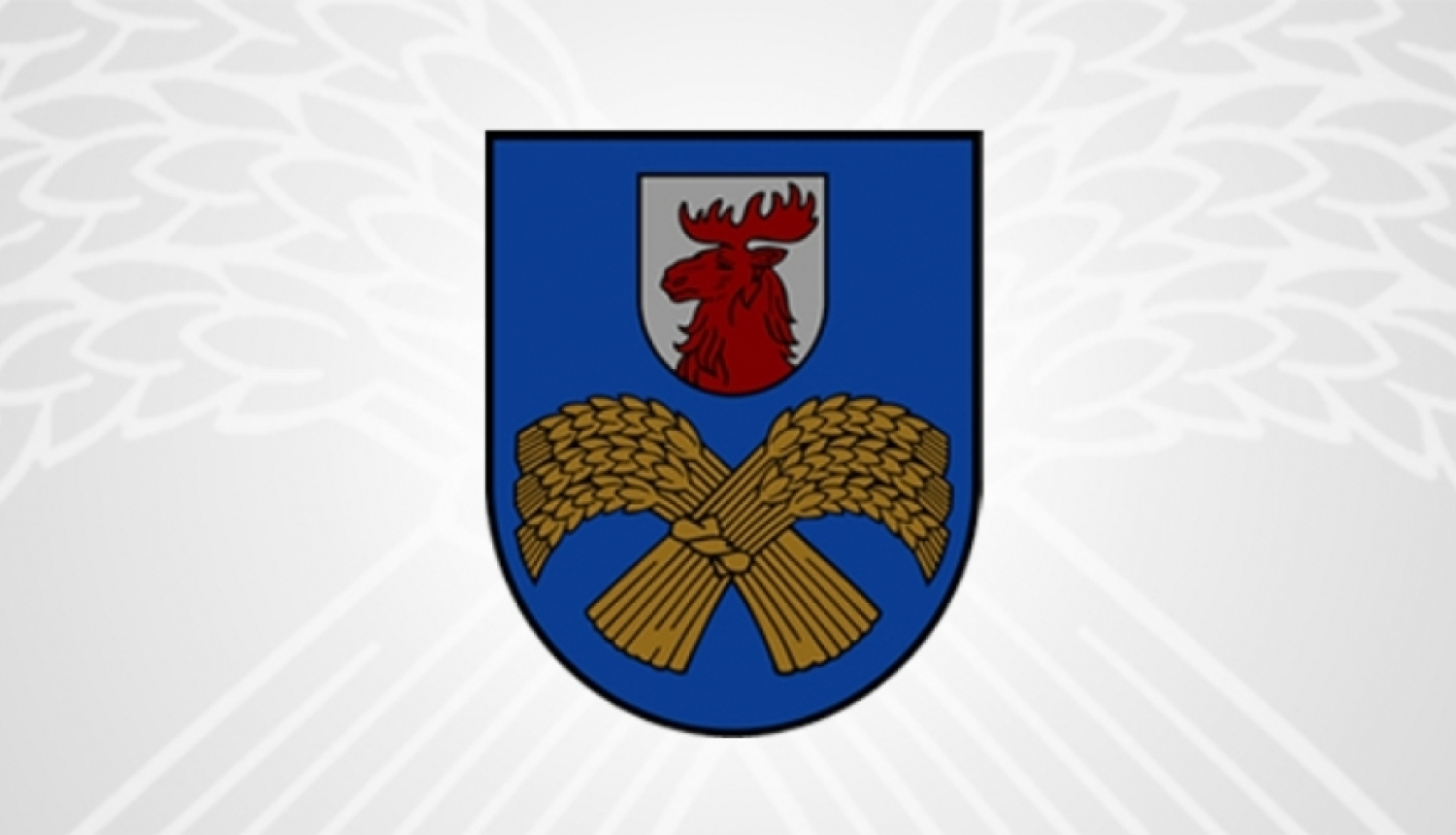 Domes ārkārtas sēde Nr.15