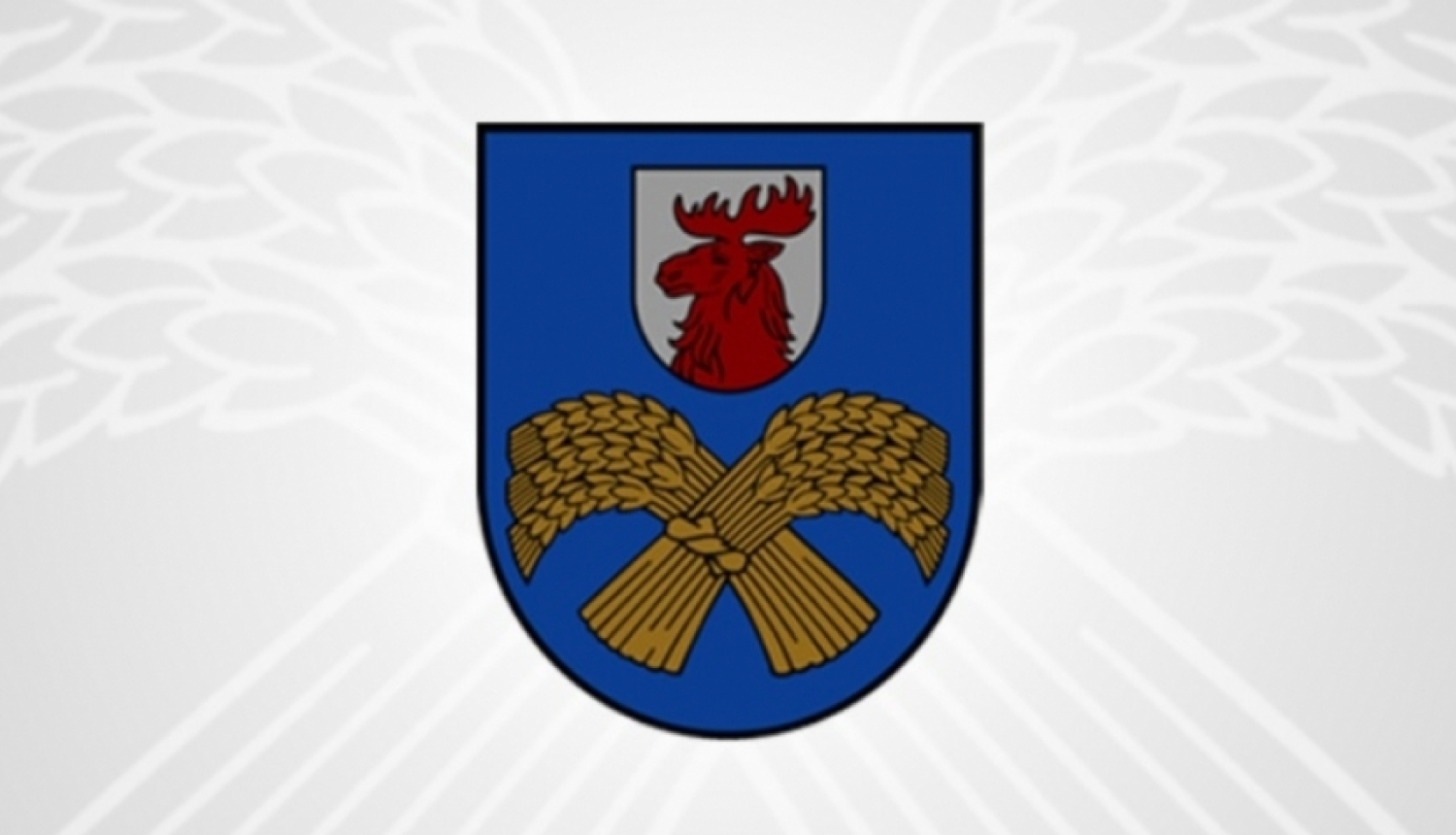 Domes ārkārtas sēde Nr.15